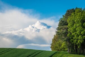 Úskalia kúpy a predaja pozemkov